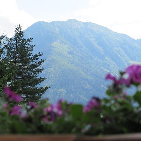 Haus Enzian Lejlighed Sankt Johann im Pongau Eksteriør billede