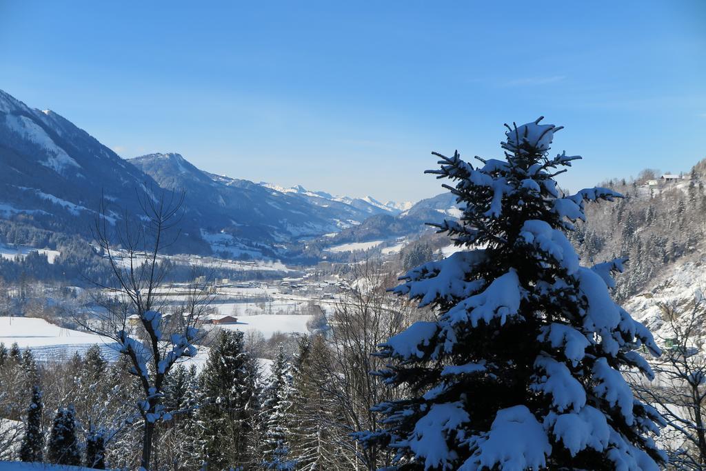 Haus Enzian Lejlighed Sankt Johann im Pongau Eksteriør billede