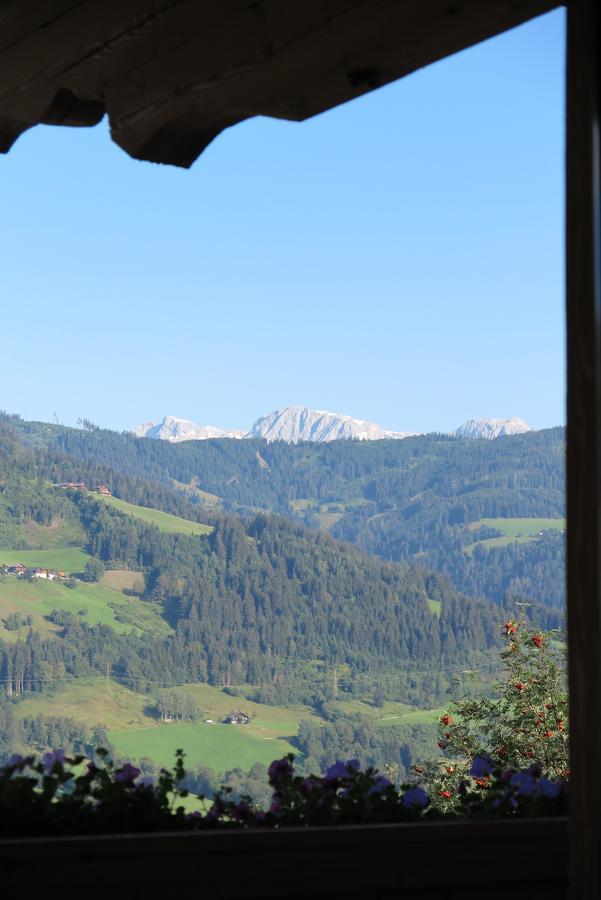 Haus Enzian Lejlighed Sankt Johann im Pongau Eksteriør billede