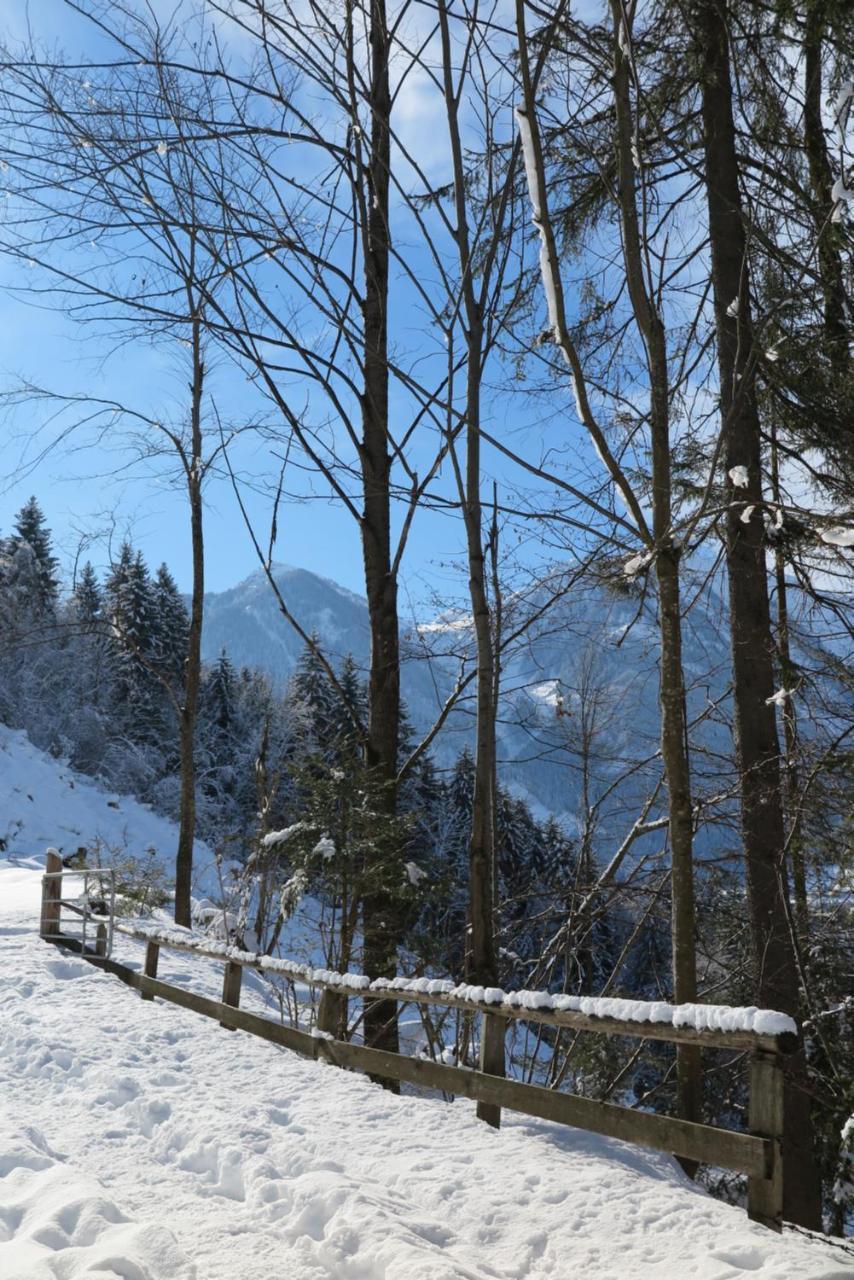 Haus Enzian Lejlighed Sankt Johann im Pongau Eksteriør billede